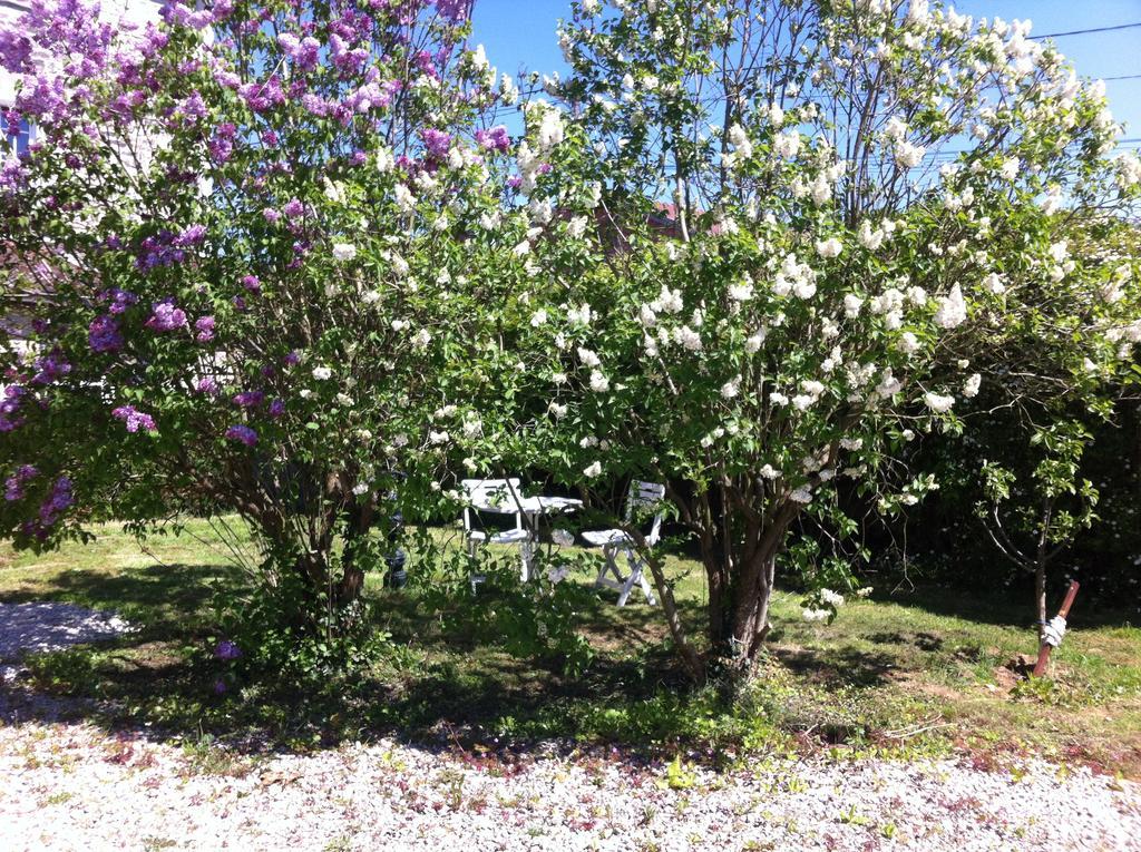 Les Lilas Roses Chamouilley Ngoại thất bức ảnh